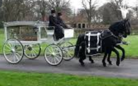 Horse-Drawn Hearse