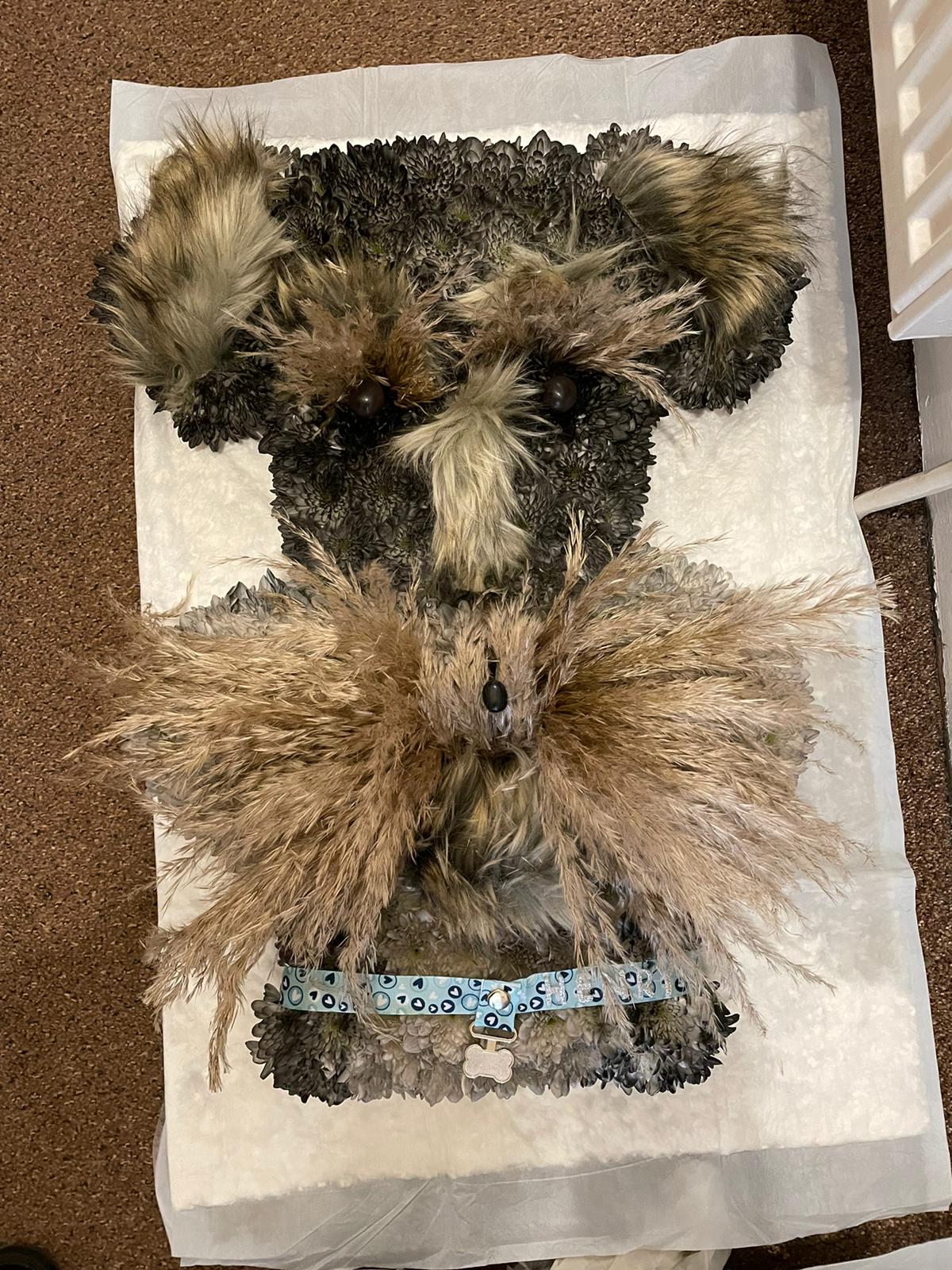 Contemporary Celebration