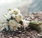 Direct Cremations In Southport